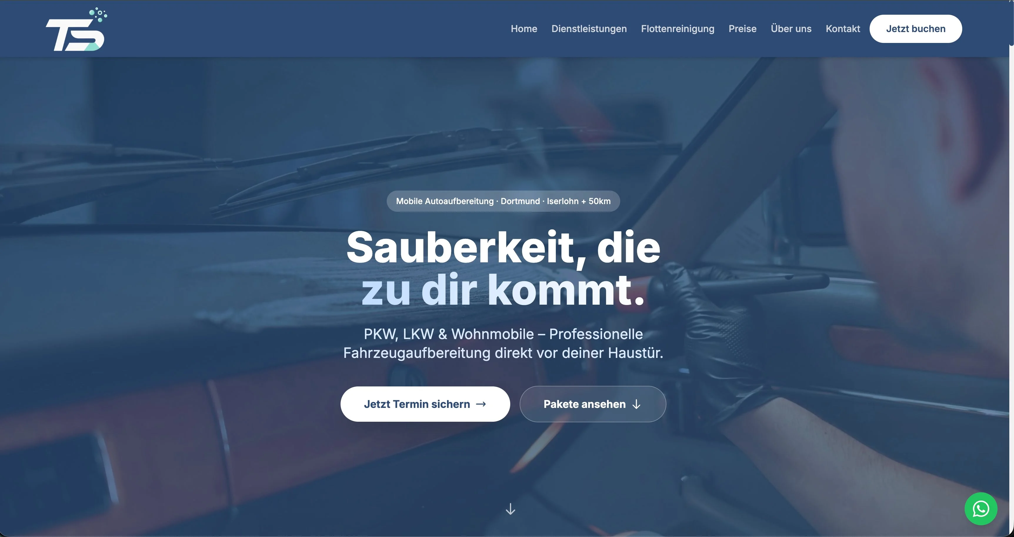 Webdesign-Referenz von NEST Integral: Tom & Sauber